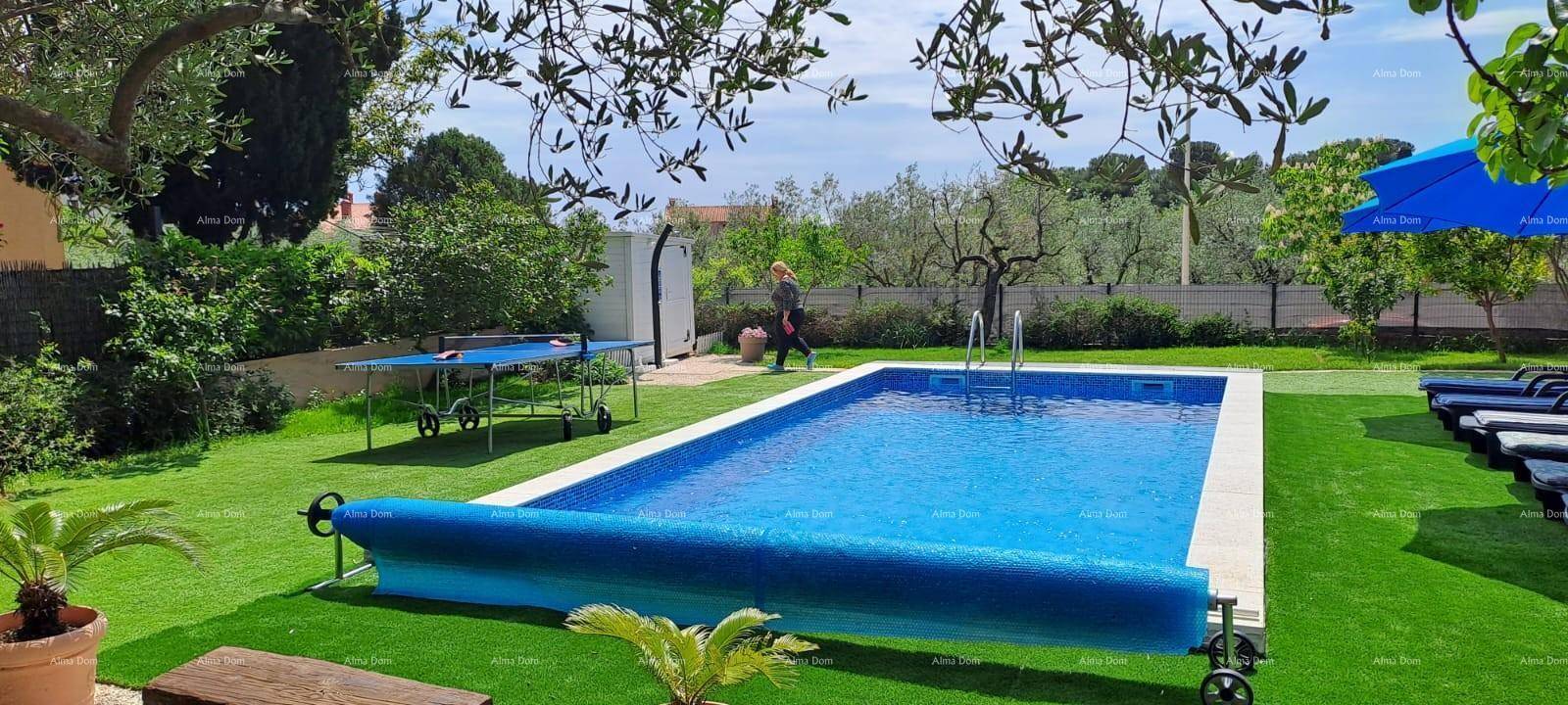 Poolbereich mit Liegestühlen, Sonnenschirm und Tischtennisplatte in einem grünen Garten.