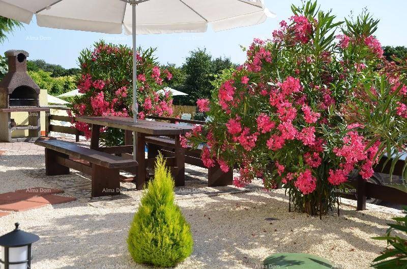 Schöner Gartenbereich mit Esstisch, Grillplatz und blühenden Oleanderbüschen.