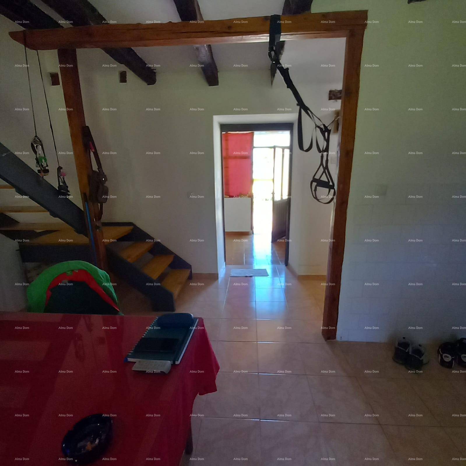 Slide 5