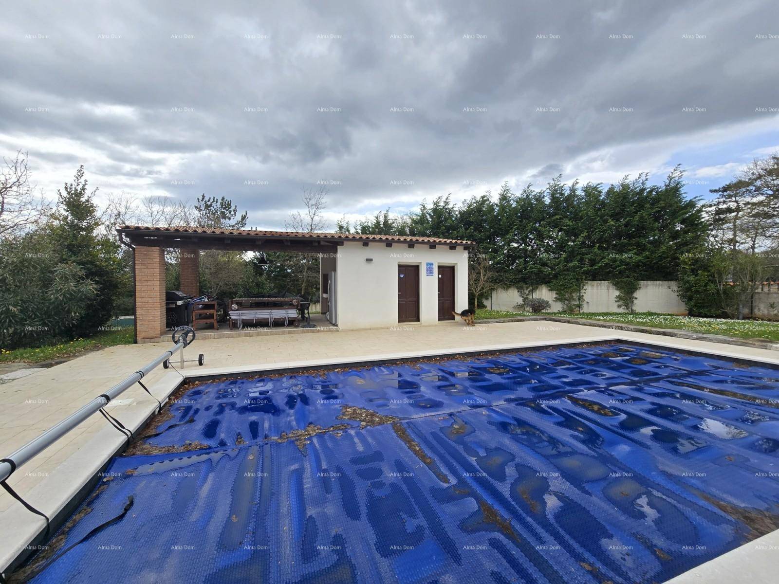 Außenbereich mit großem Pool, überdachtem Grillplatz und einem kleinen Nebengebäude unter bewölktem Himmel.