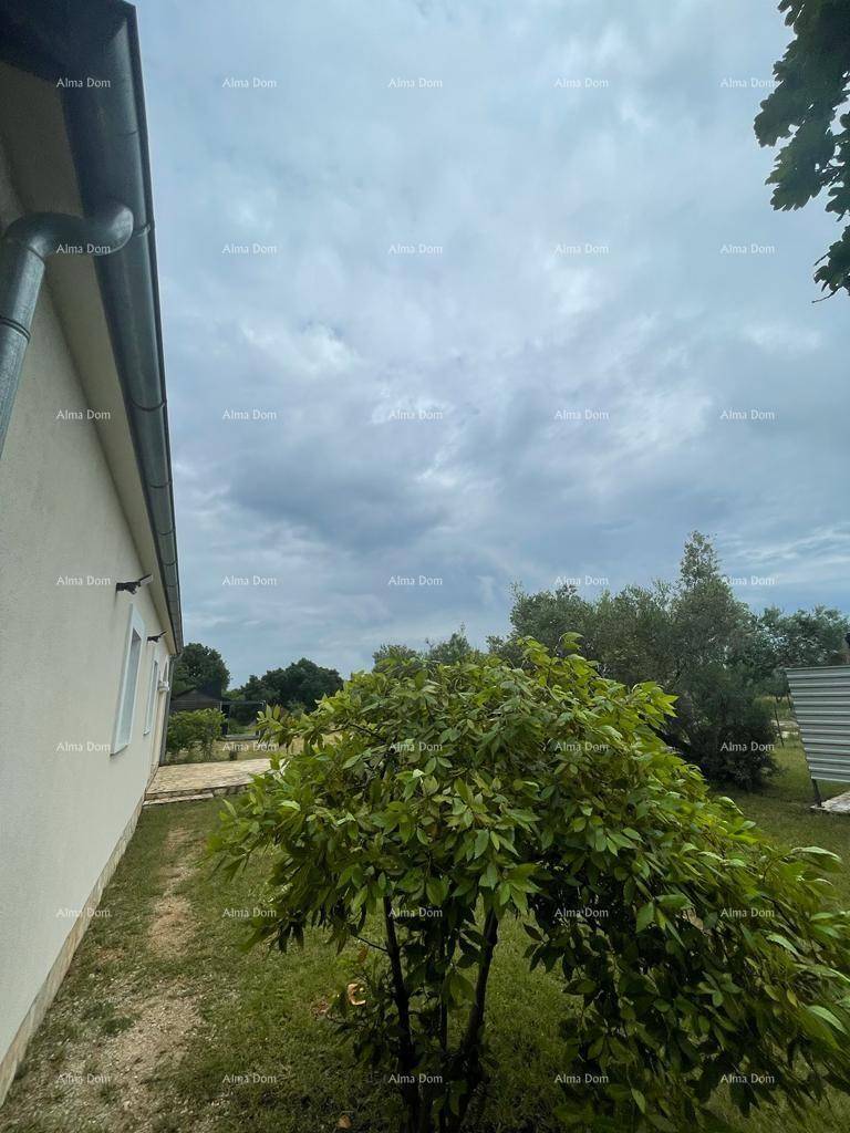 Seitenansicht des Hauses mit Regenrinne und üppigem Grün im Vordergrund.