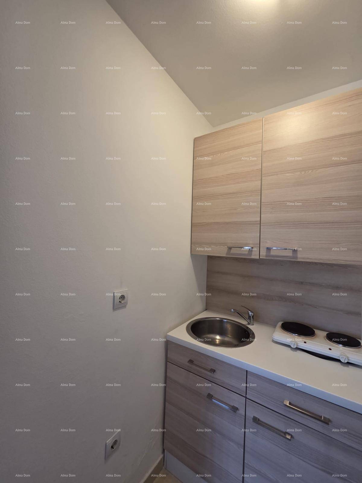 Kleine Küchenzeile mit Spüle und Kochplatten, ideal für kompakte Wohnlösungen.