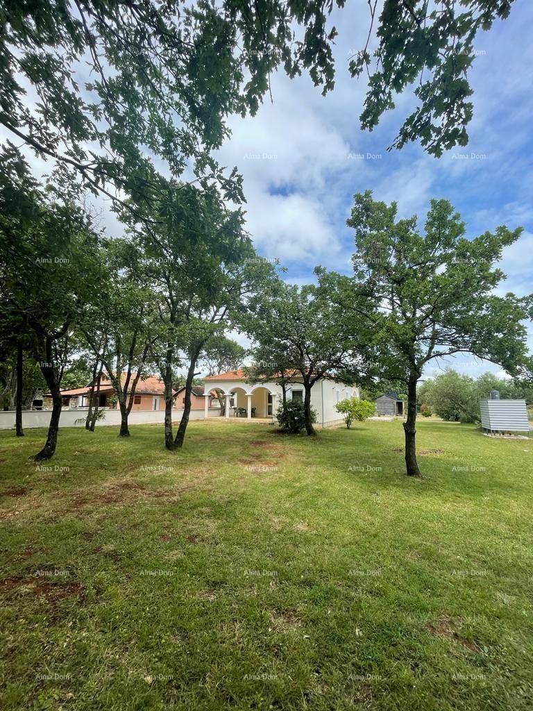 Weitläufiger Gartenbereich mit Bäumen und Blick auf das Haus mit überdachter Terrasse.