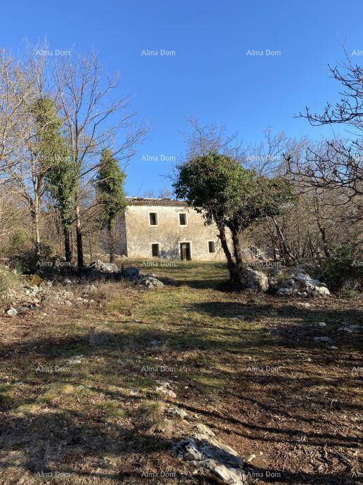 Altes Steinhaus umgeben von kahlen Bäumen und sonnigem Grasland unter blauem Himmel.