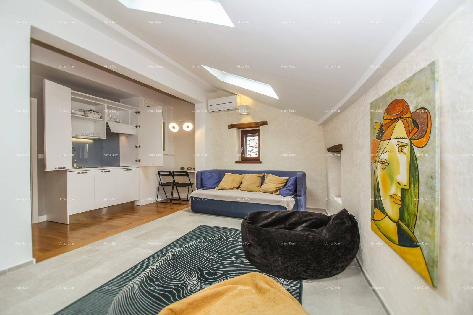 Gemütliches Dachgeschoss-Studio mit integrierter Küchenzeile, Sofa und Dachfenstern.