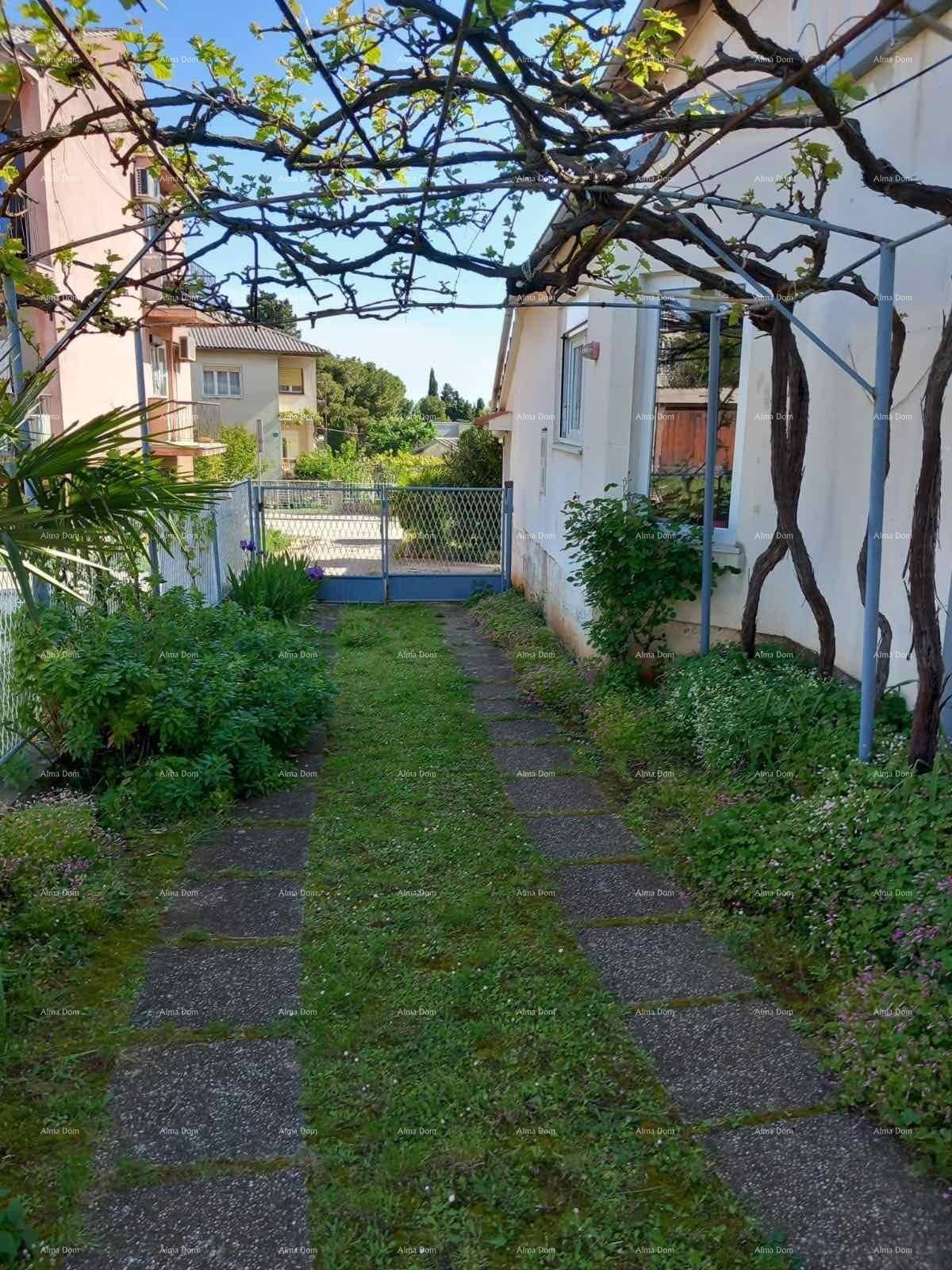 Gartenweg führt zu einem Tor, umgeben von üppigem Grün und Weinreben.