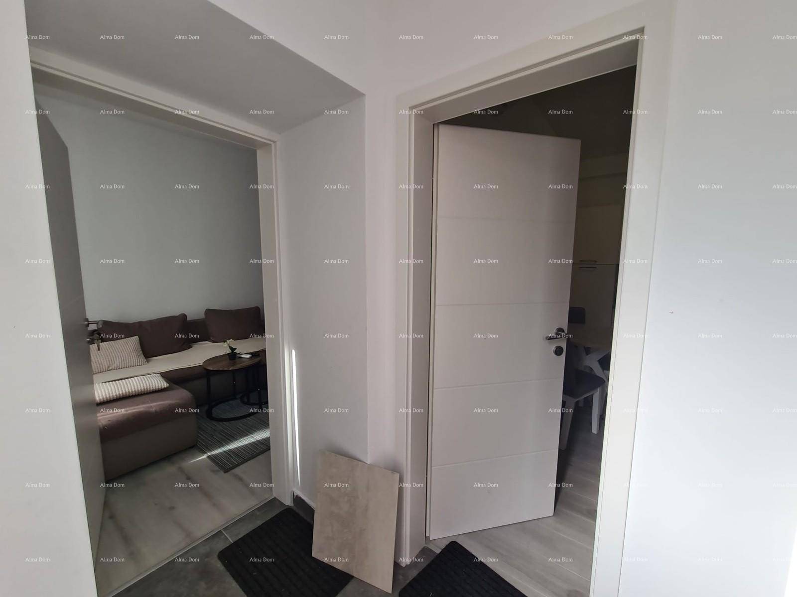 Heller Flurbereich mit zwei modernen Türen, eine davon führt ins Wohnzimmer.
