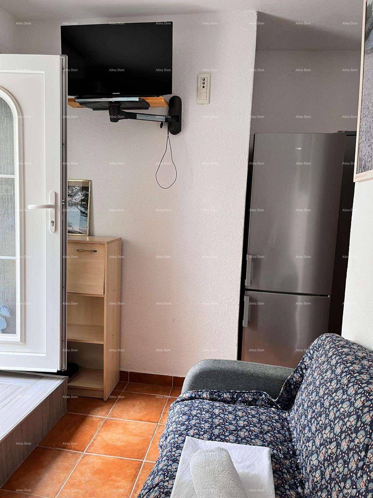 Wohnbereich mit Schlafsofa, Wandfernseher und Zugang zu einem Außenbereich, neben einem Kühlschrank.
