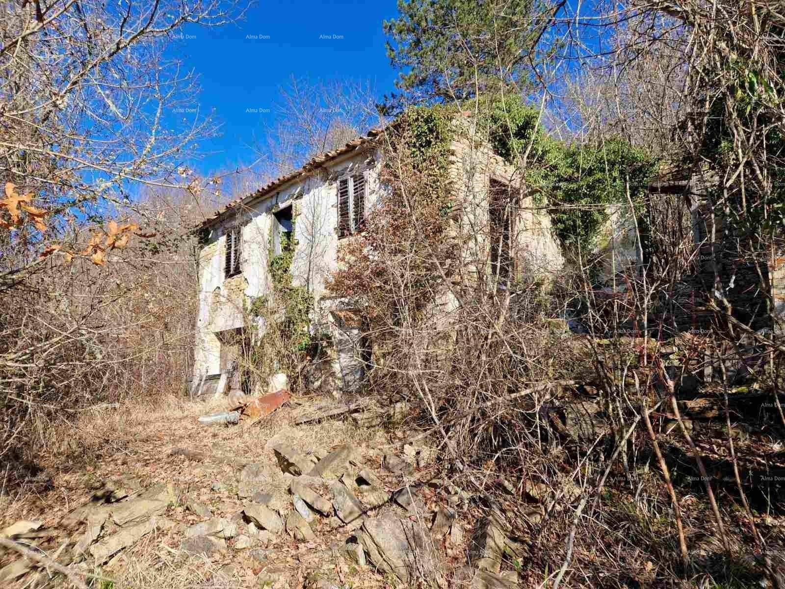 Altes, verfallenes Steinhaus, teilweise von kahlen Bäumen und Vegetation verdeckt, unter blauem Himmel.