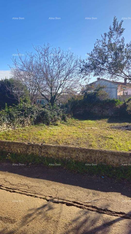 Offenes Grundstück mit Gras und Bäumen, das die ländliche Umgebung der Immobilie unter blauem Himmel zeigt.