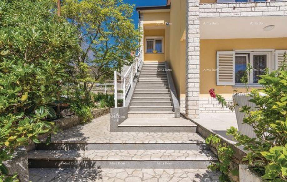 Eingangsbereich des Hauses mit breiter Steintreppe, umgeben von grünen Pflanzen und Sträuchern.