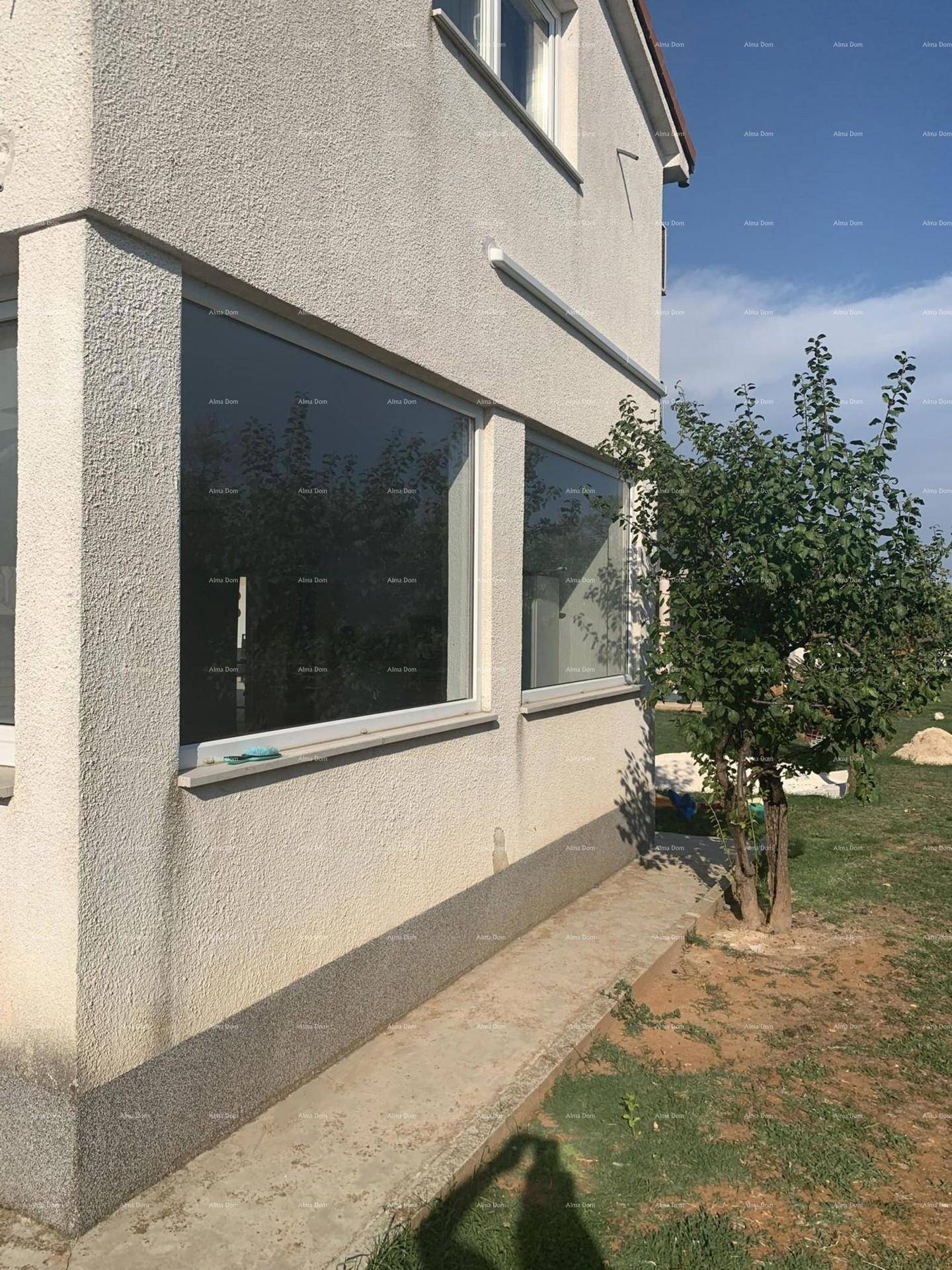 Seitenansicht des Hauses mit großen Fenstern und einem kleinen Baum im Vorgarten.