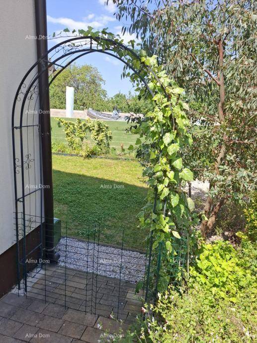 Gartentor mit bewachsenem Bogen, das zu einer weitläufigen Rasenfläche führt.