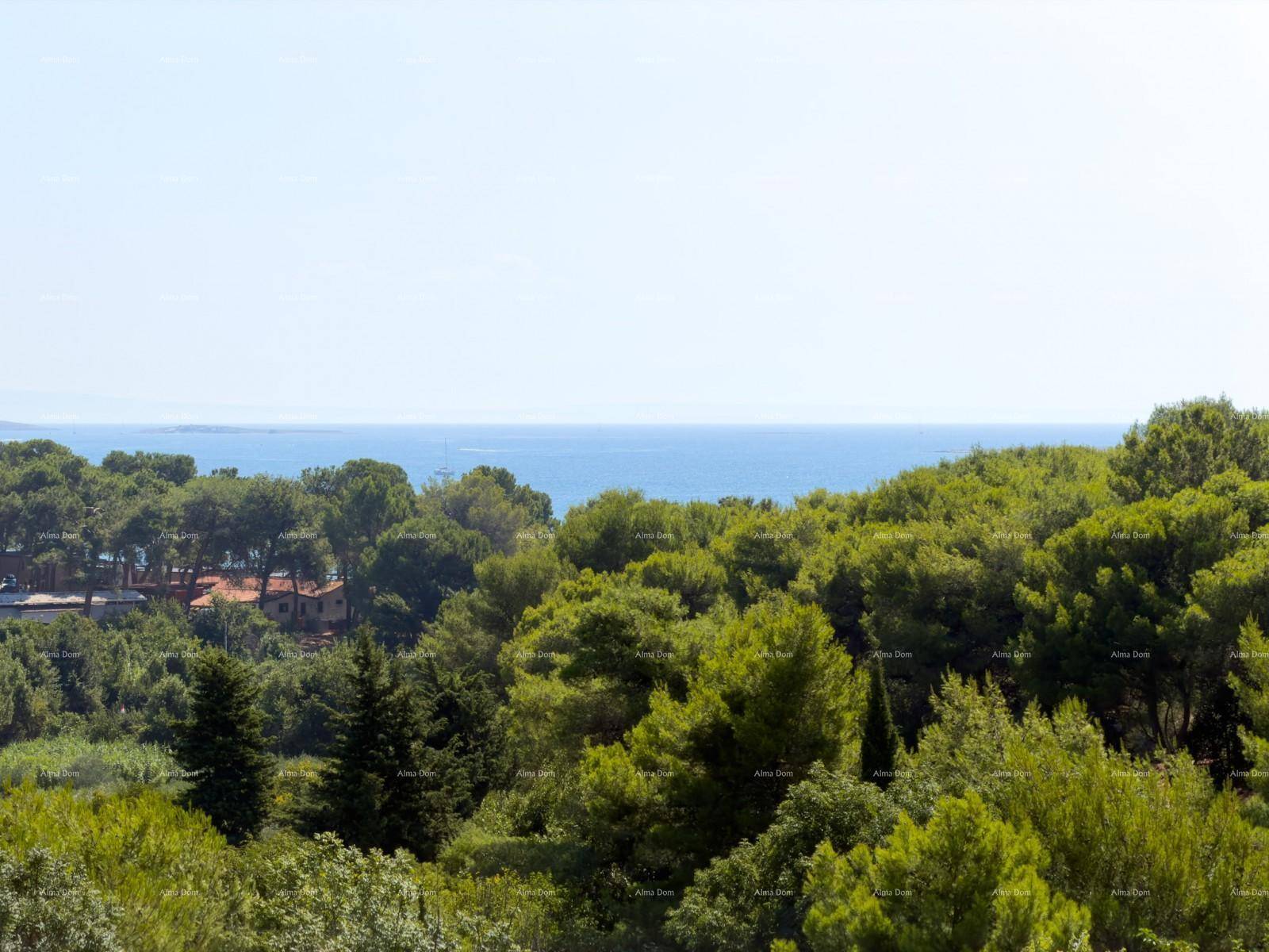Malerischer Ausblick auf das weite Meer und die dichten grünen Wälder.