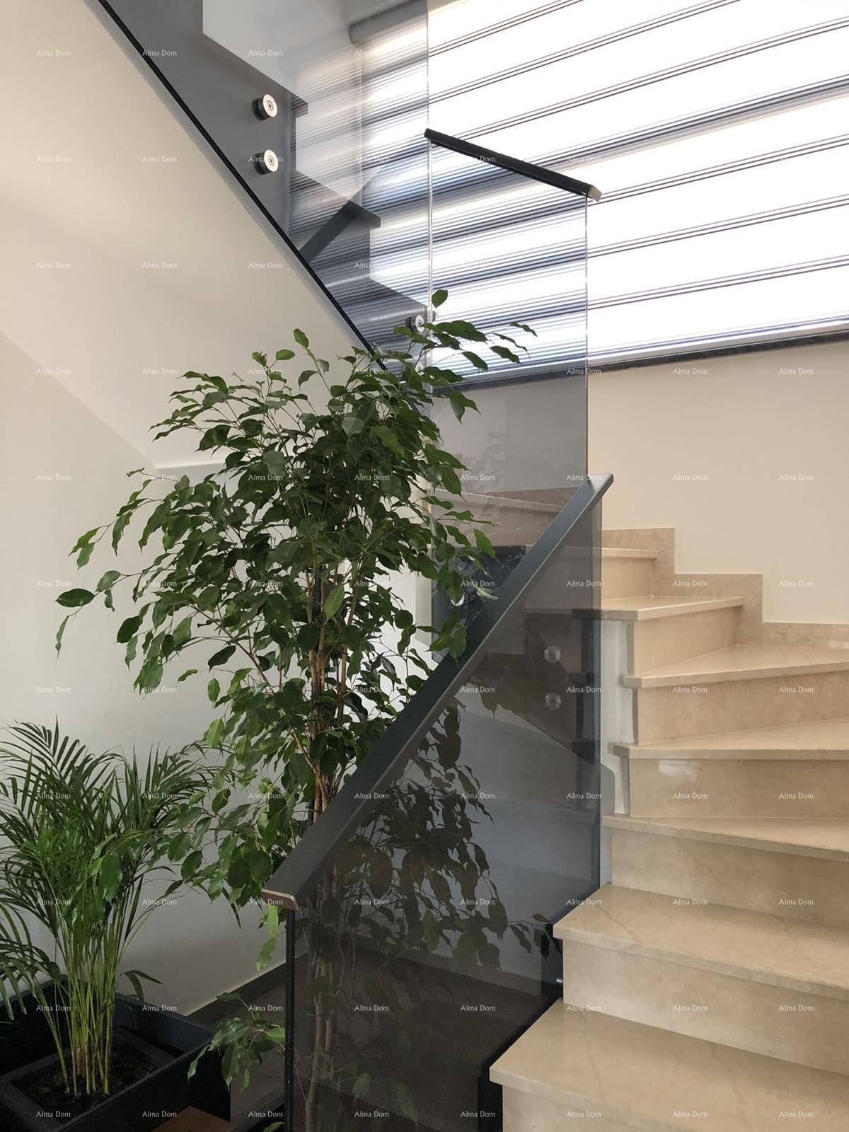 Elegante Treppe mit Glasgeländer und Marmorstufen, beleuchtet durch natürliches Licht.