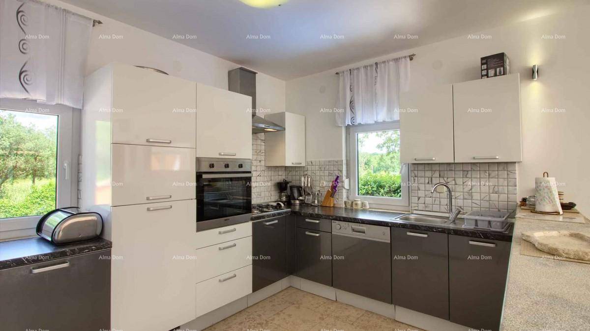 Moderne Küche mit weißen und grauen Schränken, Einbauherd und Blick ins Grüne.