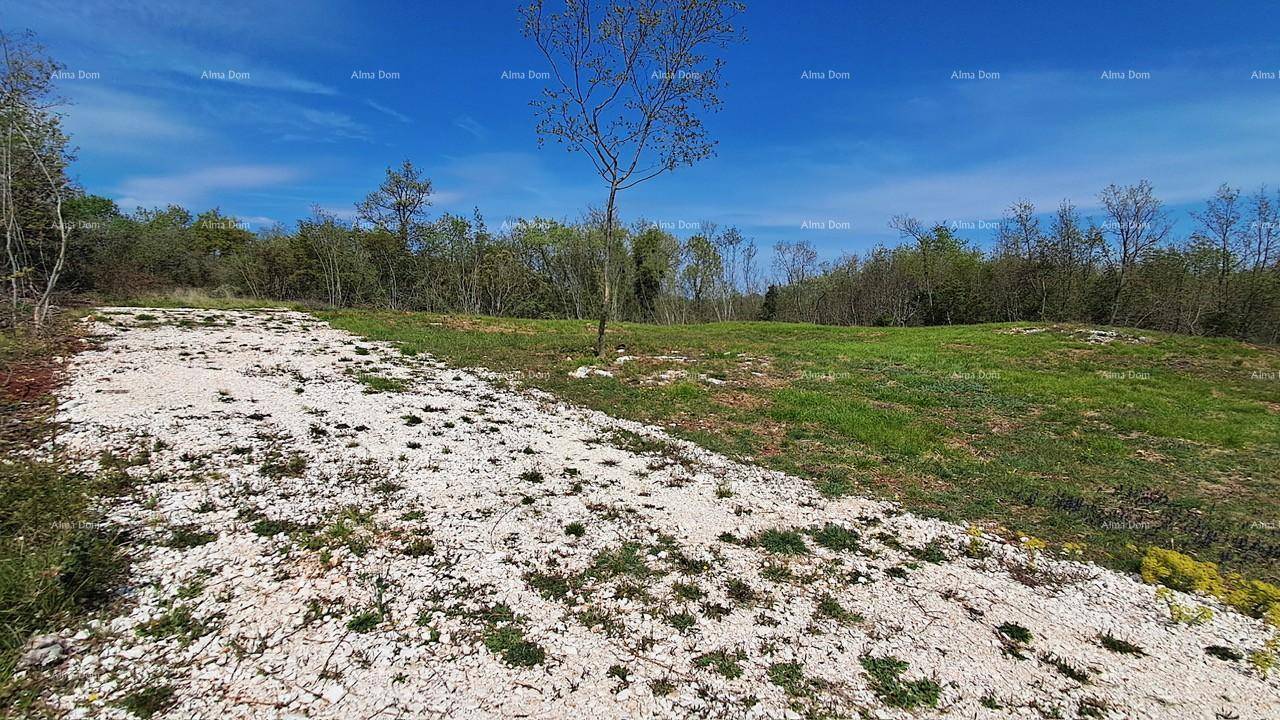 Weitläufiges Grundstück mit Grasflächen und Schotter, umgeben von Bäumen unter klarem blauem Himmel.