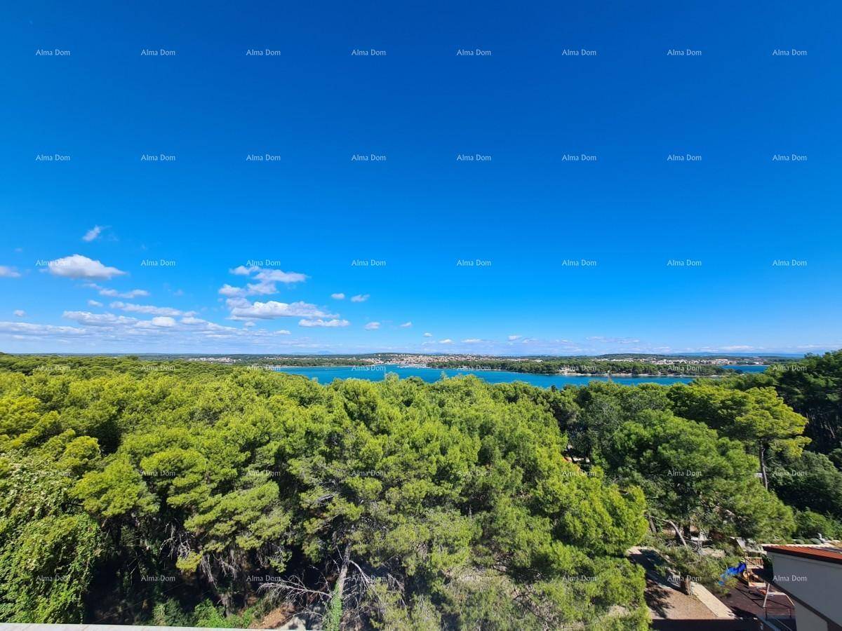 Weitläufiger Panoramablick auf ein Gewässer, umgeben von dichten grünen Wäldern unter blauem Himmel.
