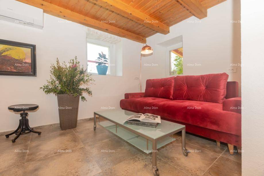 Wohnbereich mit rotem Sofa, Couchtisch und Pflanzen, hell und mit Klimaanlage ausgestattet.