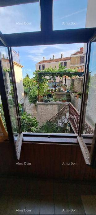 Blick aus einem verglasten Raum auf den begrünten Innenhof mit mediterranen Pflanzen.