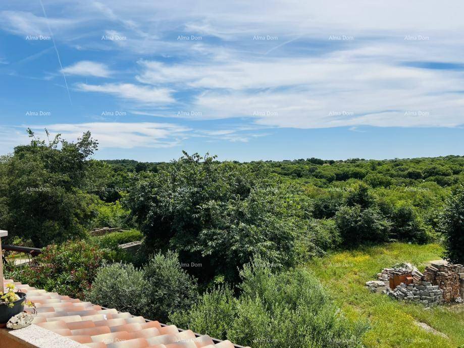 Panoramablick von einem Balkon über eine weite, unberührte grüne Landschaft und den Horizont.