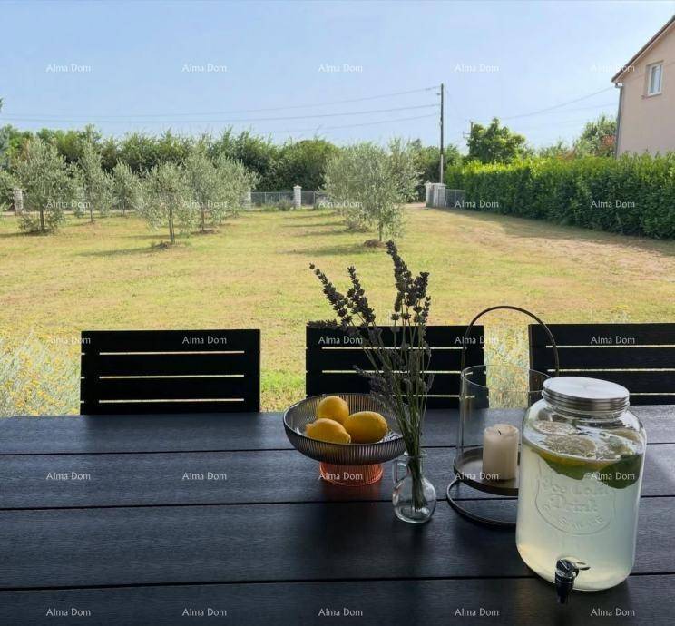 Gemütlicher Essbereich im Freien mit Blick auf den weitläufigen grünen Garten und Olivenbäume.