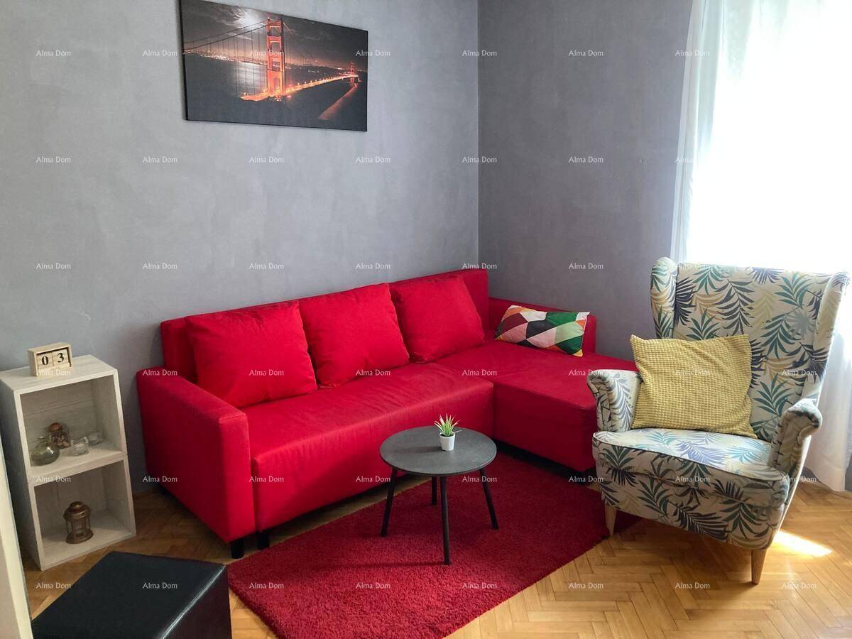 Modernes Wohnzimmer mit rotem Ecksofa, gemustertem Sessel und Holzboden.