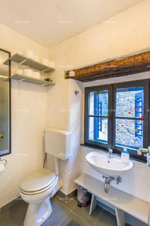 Badezimmer mit Toilette, Waschbecken und einem Fenster mit blauen Fensterrahmen.