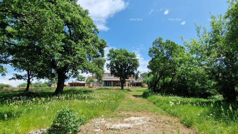 Weitläufige Grünfläche mit alten Bäumen und dem charmanten Steinhaus im Hintergrund unter blauem Himmel.