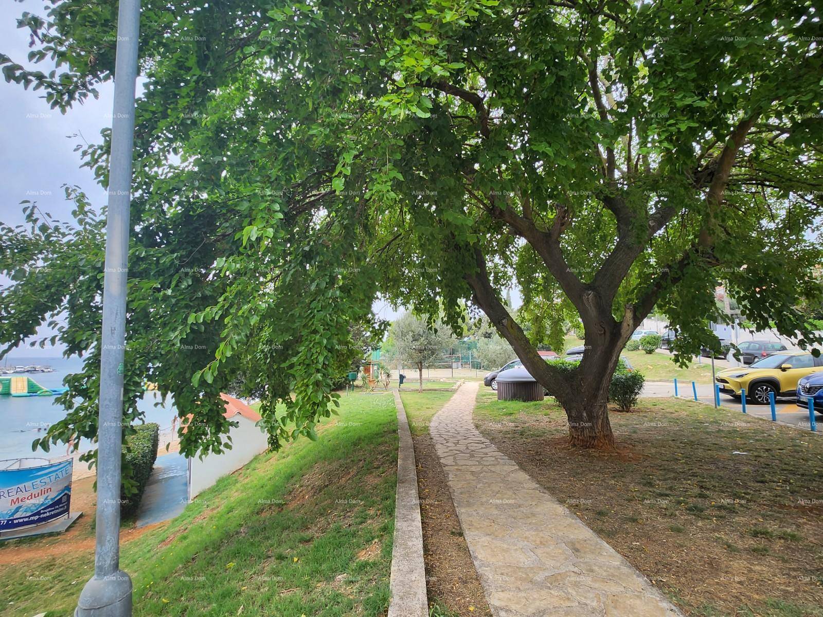 Ein gepflasterter Weg führt durch eine grüne Landschaft mit Bäumen und Blick auf parkende Autos.