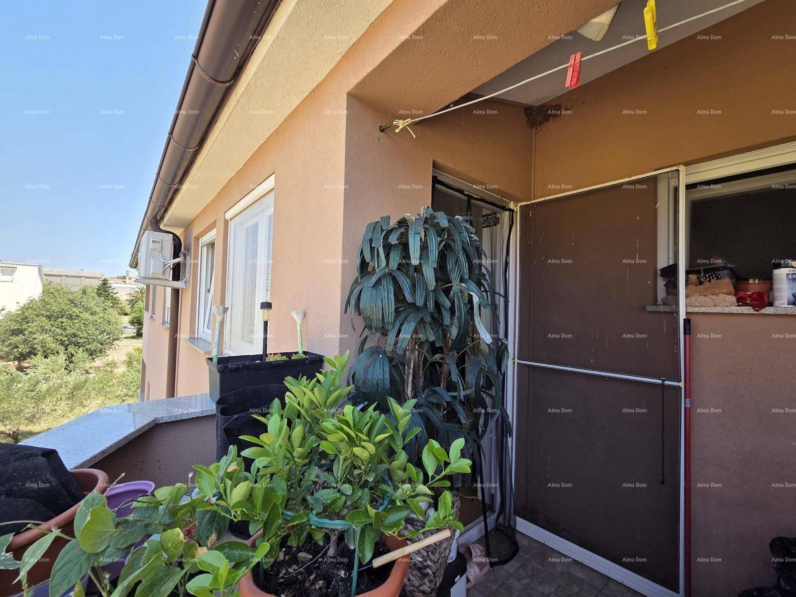 Balkon mit Topfpflanzen und Blick auf die grüne Umgebung unter blauem Himmel.