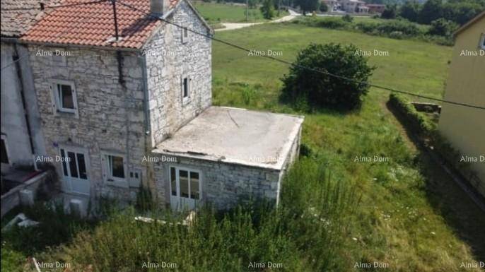 Altes Steinhaus mit Ziegeldach und verwildertem Grundstück, bereit für eine umfassende Renovierung.