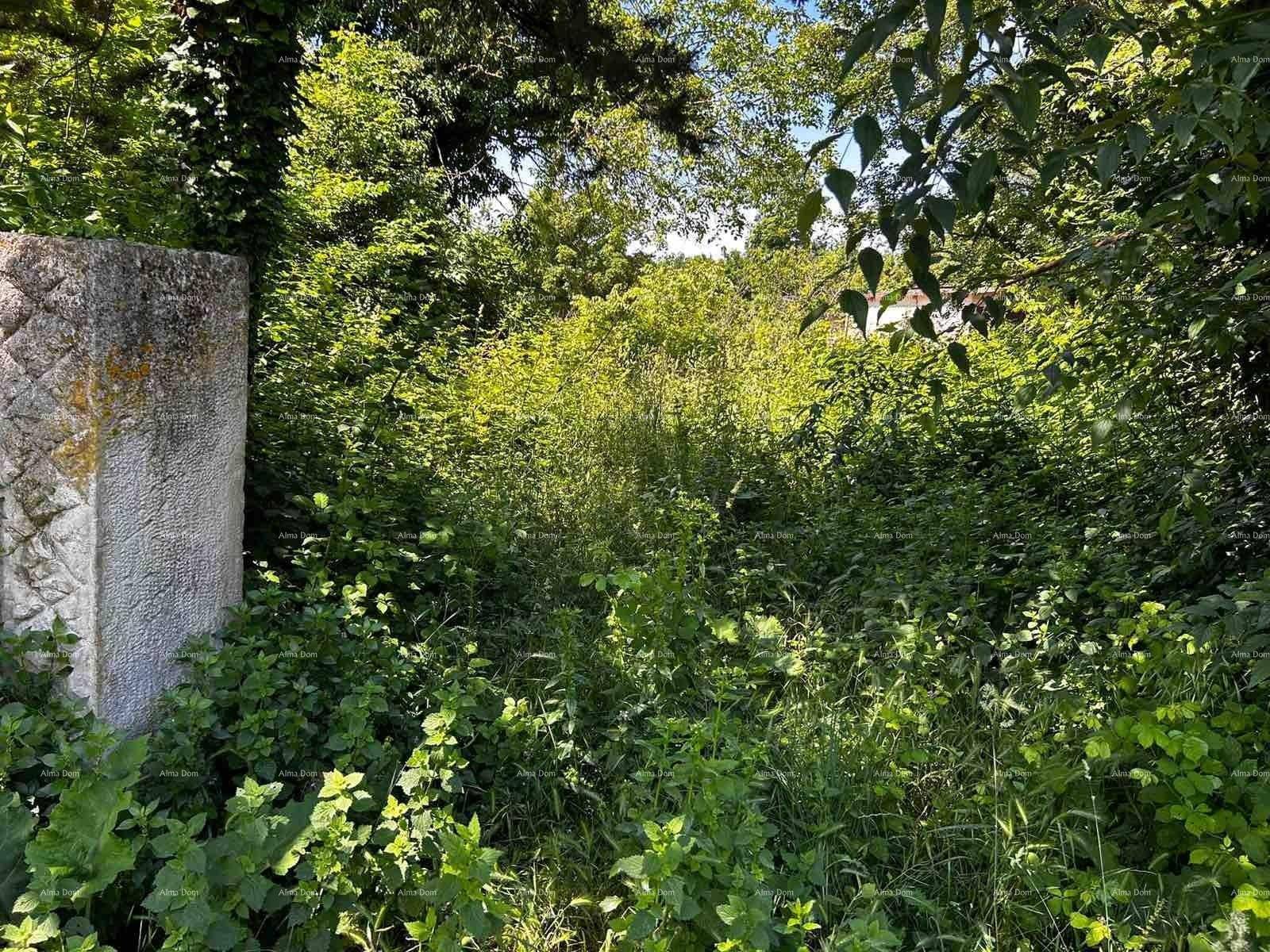 Dicht bewachsenes Grundstück mit einem alten Steinsockel, umgeben von üppiger Natur.