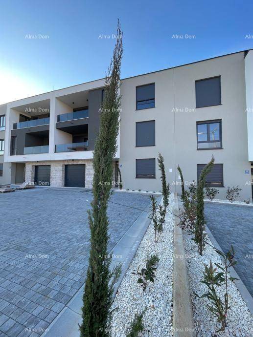 Neubau-Wohnanlage mit moderner Architektur, gepflastertem Bereich und dekorativen Pflanzen im Vordergrund.