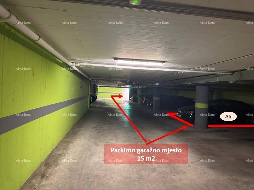 Slide 9