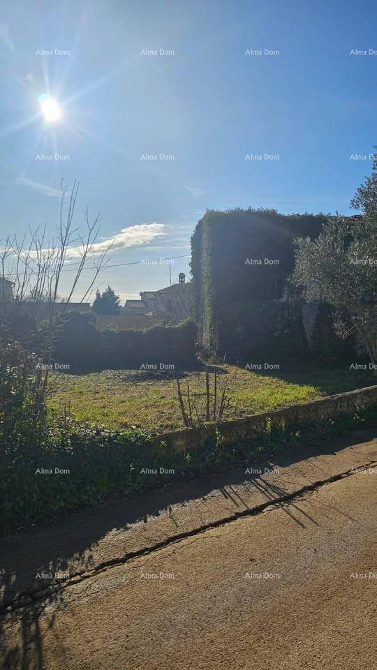 Weitläufiges Grundstück mit spärlicher Vegetation und dem alten, efeubewachsenen Haus im Hintergrund unter strahlender Sonne.