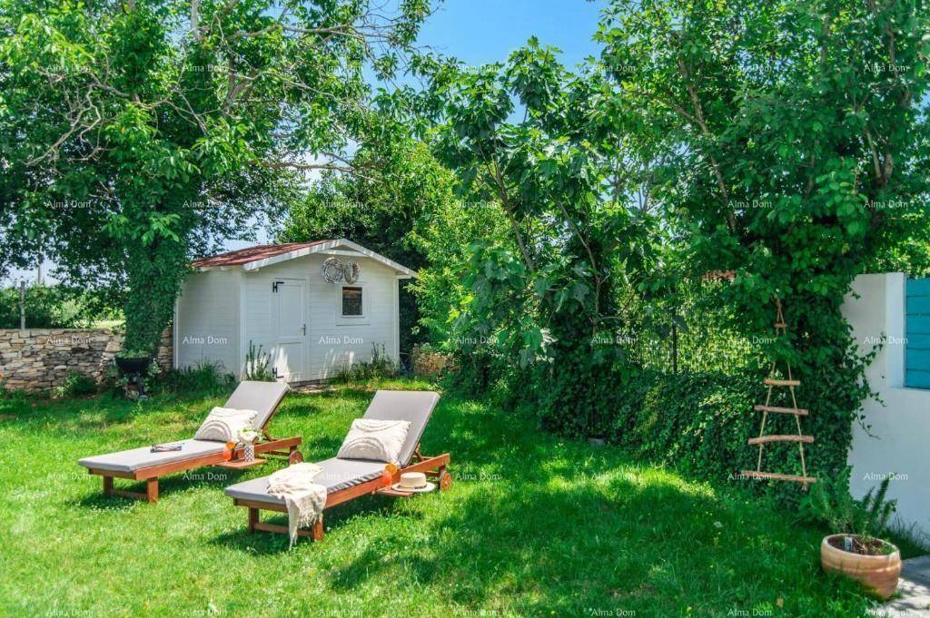 Ruhiger Gartenbereich mit Rasen, Liegestühlen und einem kleinen Gartenhaus, umgeben von Bäumen.