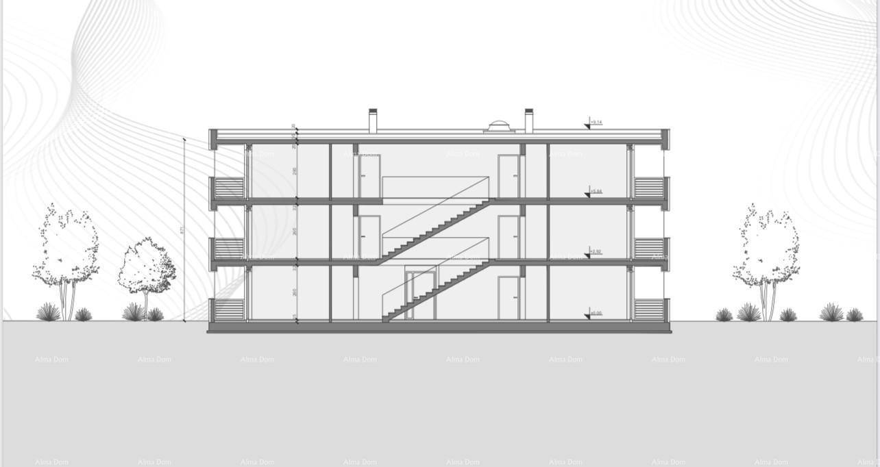 Slide 9