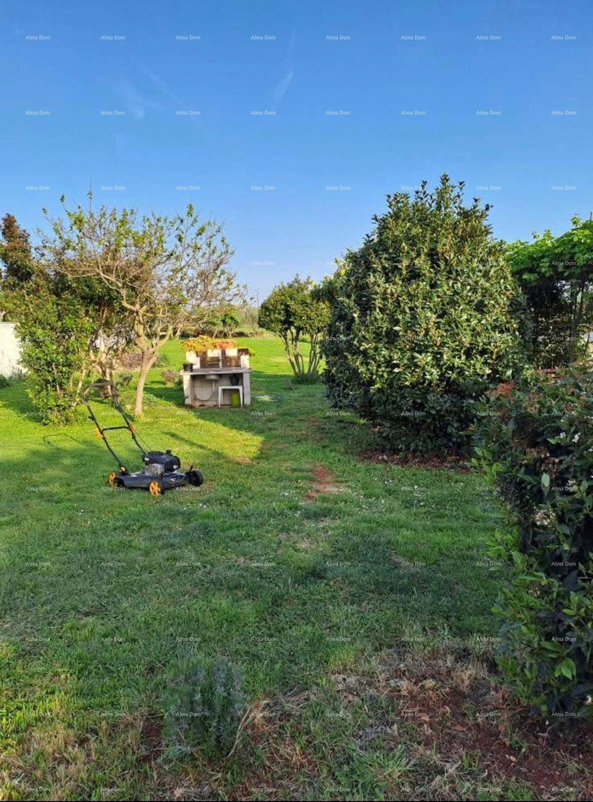 Gepflegter Garten mit Rasen, Bäumen und einem Rasenmäher, bereit für die Gartenarbeit.