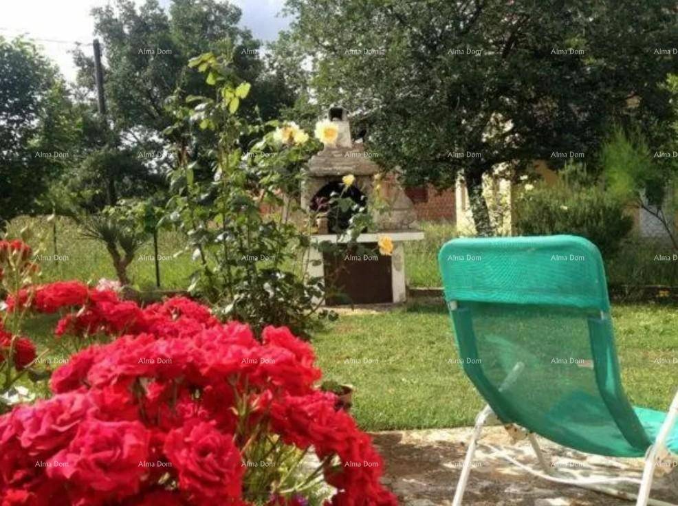 Grüner Garten mit blühenden Rosen und einem gemauerten Grillbereich.
