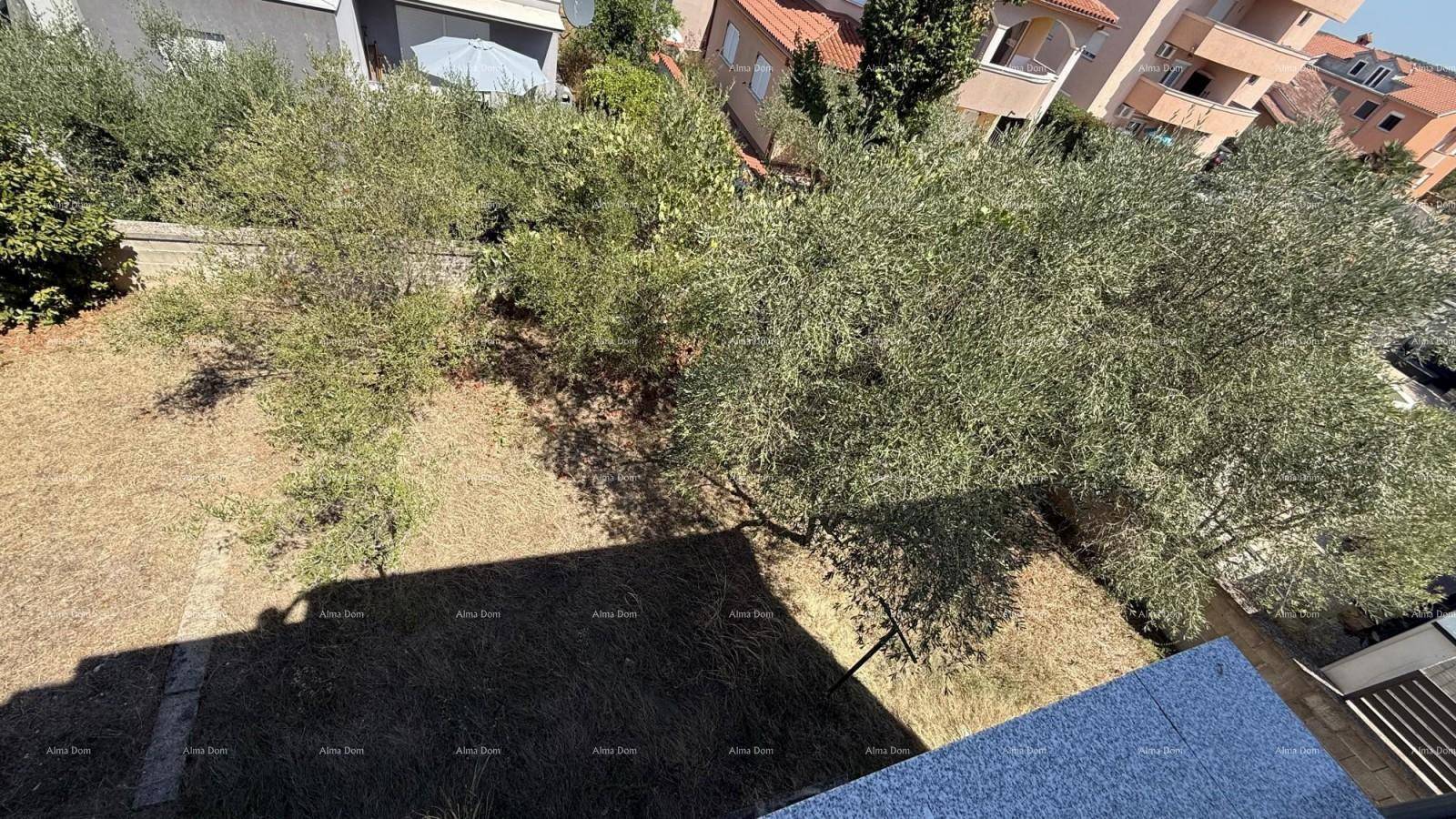 Blick von oben auf einen Gartenbereich mit Bäumen und trockenem Gras, umgeben von Wohnhäusern.