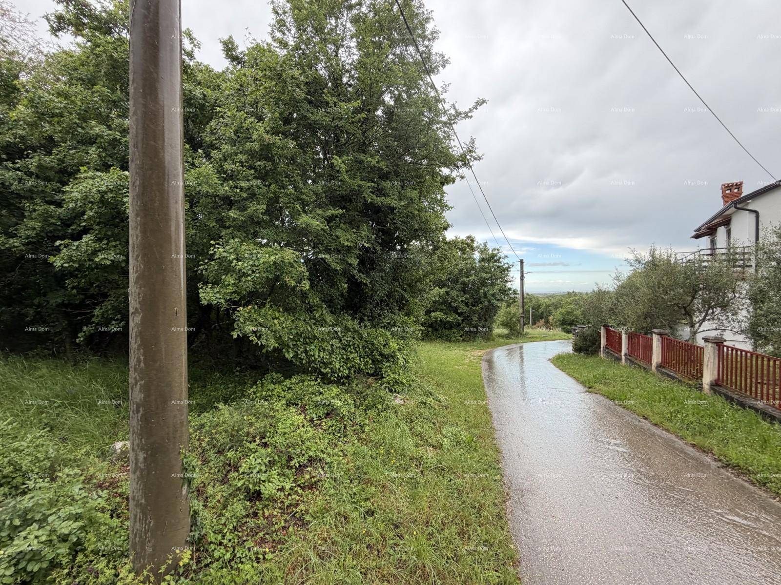 Schmale, nasse Straße mit Strommast, Zaun und einem Teil eines weißen Hauses mit rotem Dach in grüner Umgebung.