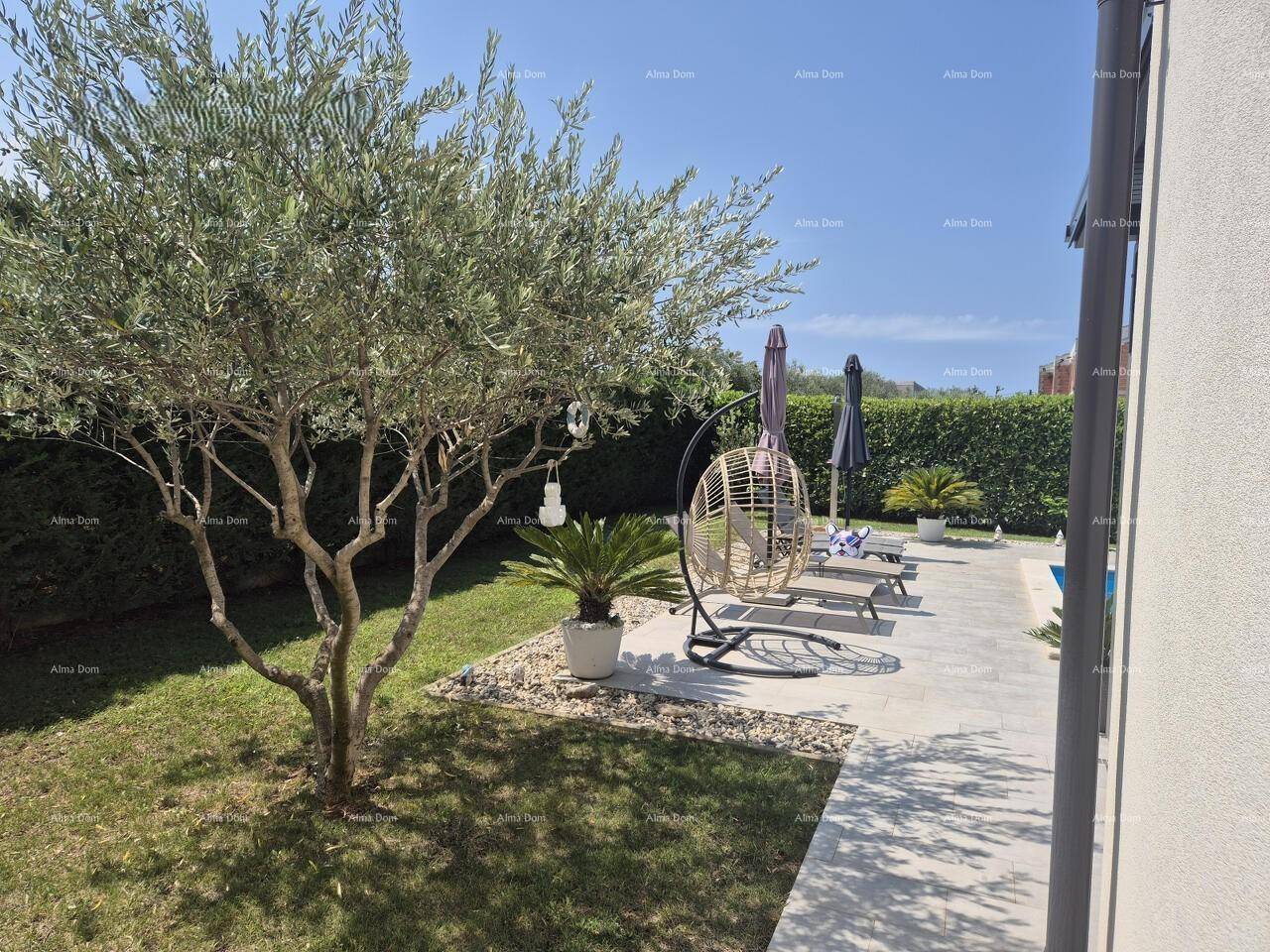 Gepflegter Gartenbereich mit einem Olivenbaum und Blick auf den Poolbereich des Anwesens.