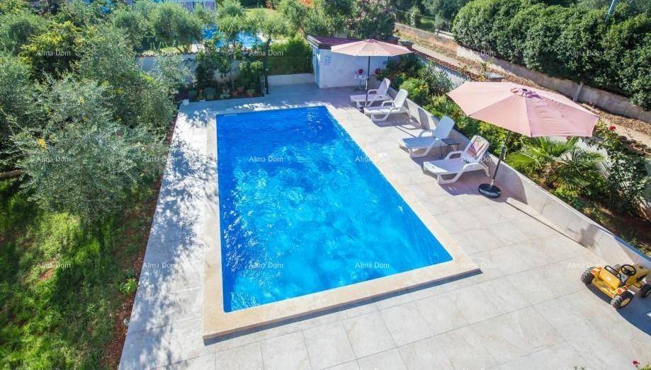 Vogelperspektive des rechteckigen Pools umgeben von einer gepflegten Terrasse und mediterraner Vegetation.