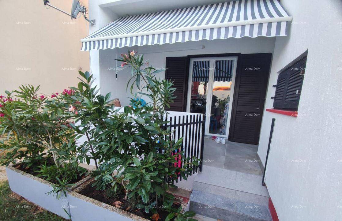 Kleiner, gepflasterter Terrassenbereich mit Pflanzenkübeln und gestreifter Markise vor dem Eingang.