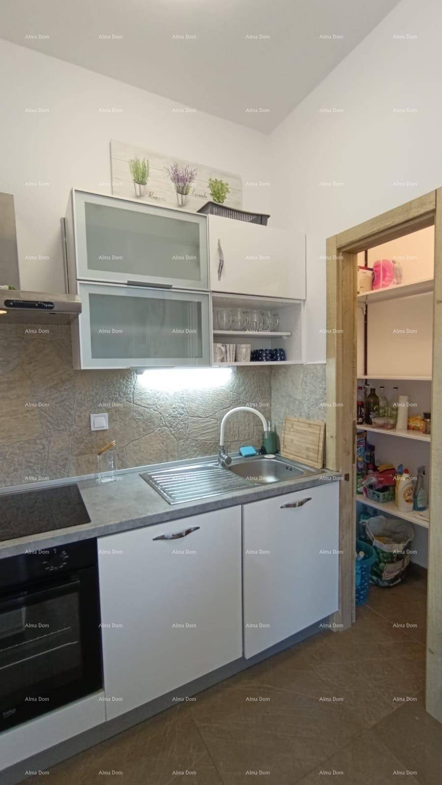Funktionale Küche mit weißen Schränken, Spüle und angrenzender Speisekammer.