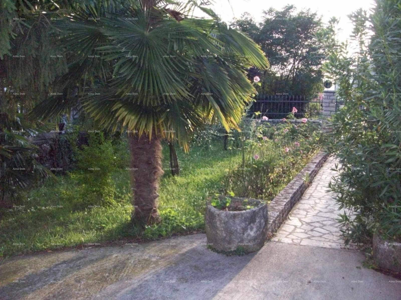 Gartenweg mit einer Palme, Rosenbeeten und Steinbegrenzungen.
