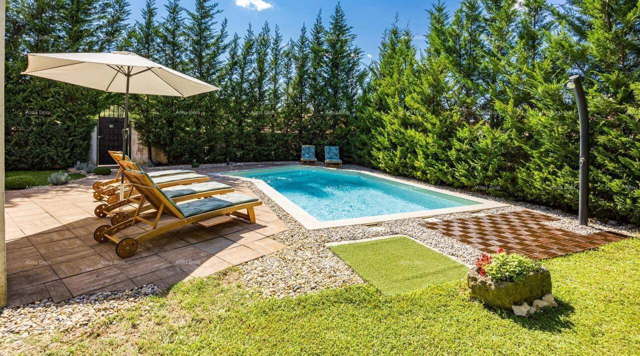 Gepflegter Poolbereich mit Sonnenliegen, umgeben von einer grünen Hecke und Rasenfläche, inklusive Außendusche.