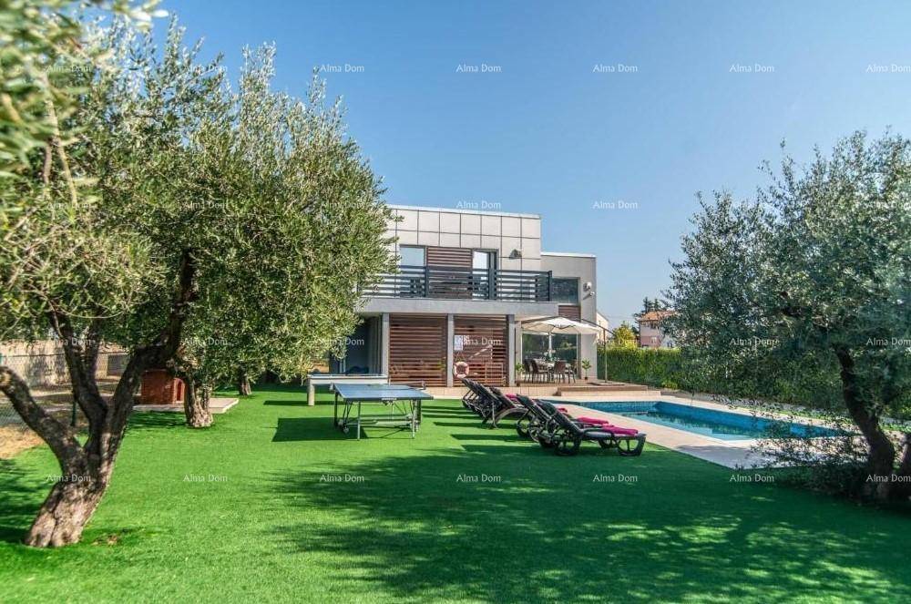 Großer Gartenbereich mit Pool, Sonnenliegen, Tischtennisplatte und Olivenbäumen vor dem modernen Haus.