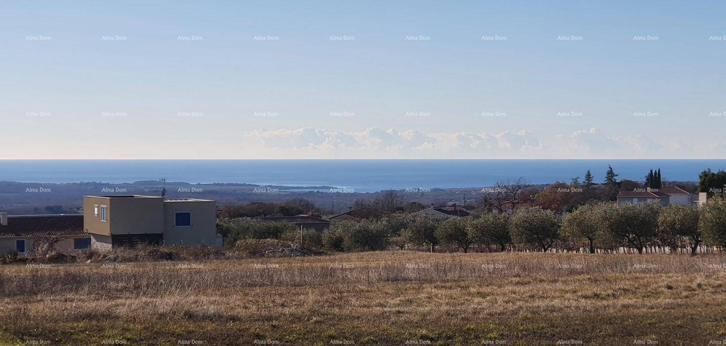Weitläufige Landschaft mit Feldern, Olivenbäumen und dem Meer in der Ferne unter blauem Himmel.